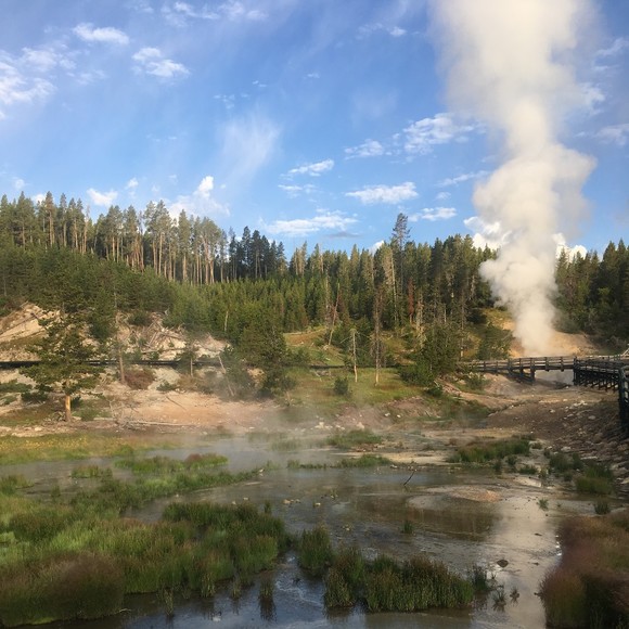 Meet your Posher, Samantha - Picture 1 of 1